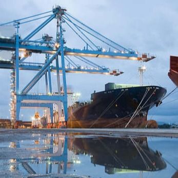 Nguồn kinh doanh Dropshipping toàn cầu từ Trung Quốc đến Mỹ Vương quốc Anh Canada UAE LCL FCL 20FT 40FT Container