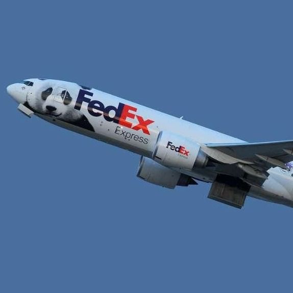 Vận chuyển quốc tế Door to Door Vận chuyển quốc tế UPS Vận chuyển hàng không FedEx Từ Thượng Hải Trung Quốc đến Israel
