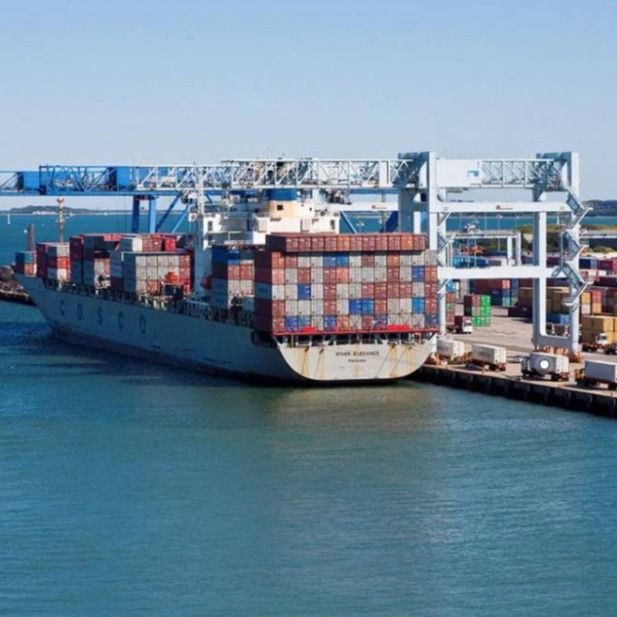 Sea Fcl Và Lcl Full Container Load Vận tải đường biển từ Trung Quốc đến Hoa Kỳ Châu Âu