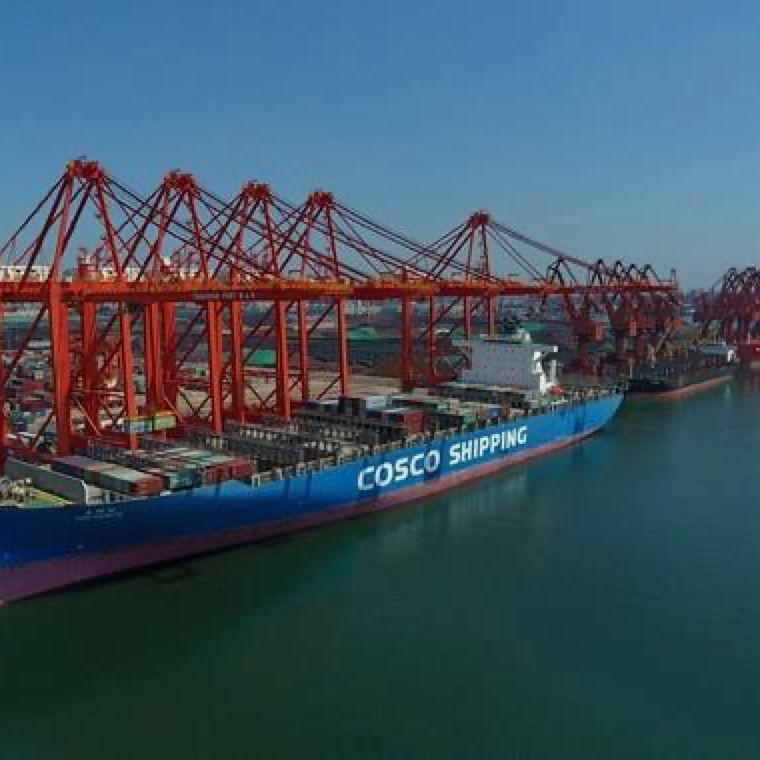 Trung tâm vận chuyển thả toàn cầu 3c FOB LCL Sea China To Jordan 3 Day Exw Freight Forwarder